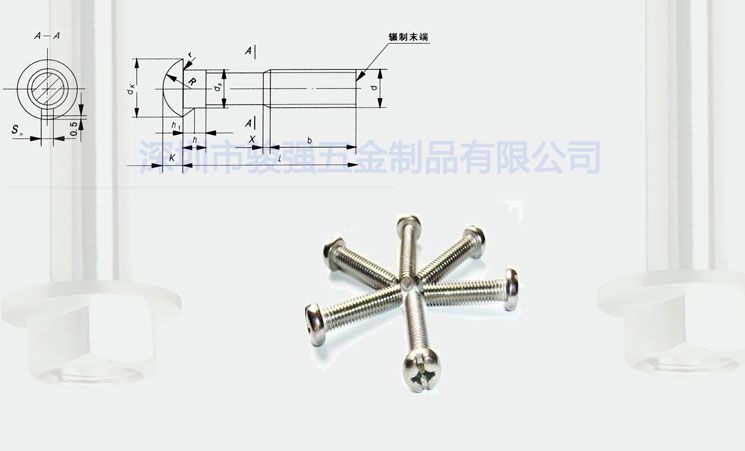 半圓頭帶榫螺檢