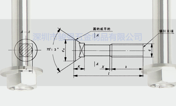 沉頭方頸螺檢