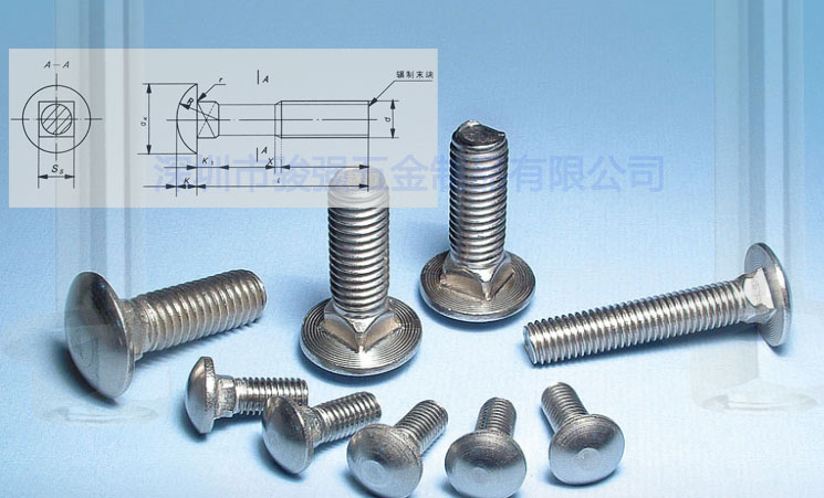 半圓頭方頸螺檢